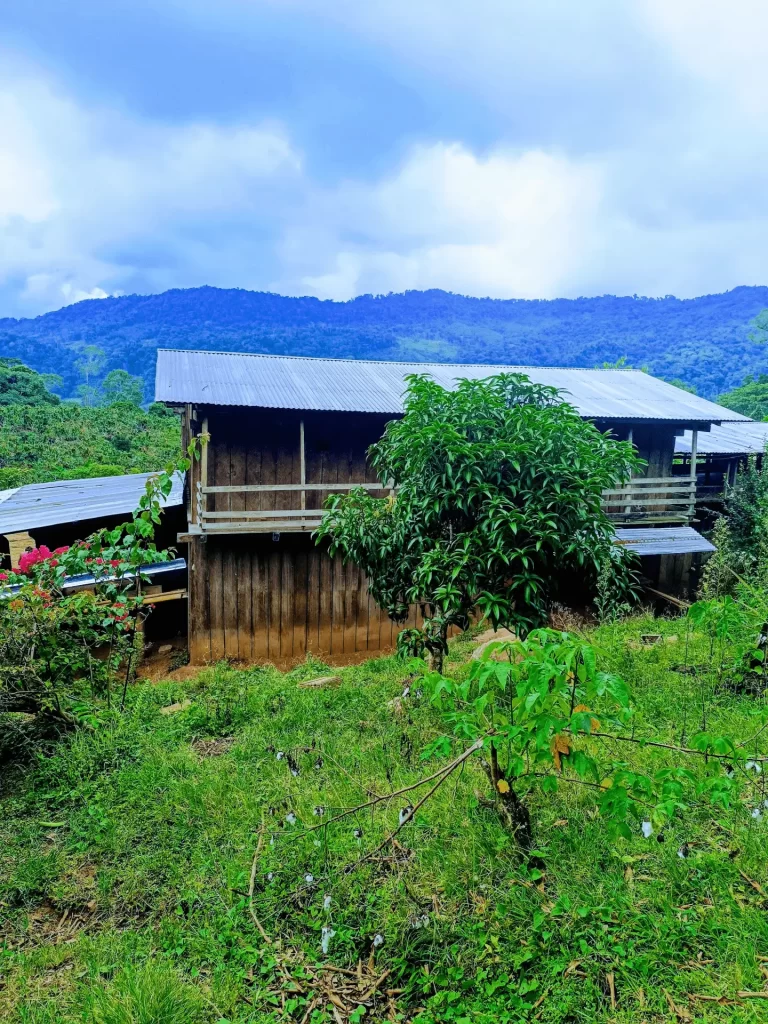 IMG-20240823-WA0027 1