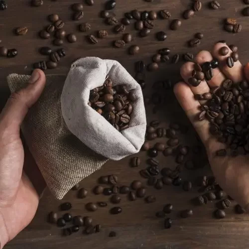 hands-holding-sack-coffee-beans-scaled-qqx0mgxbckt4vlhbouy0ve4vgx3e4e9z8qki3aa0so